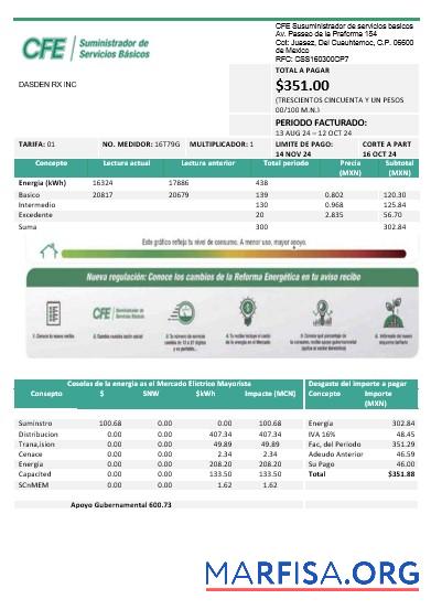 Blank Mexico Electricity CFE business utility bill template in Word and PDF formats, fully editable